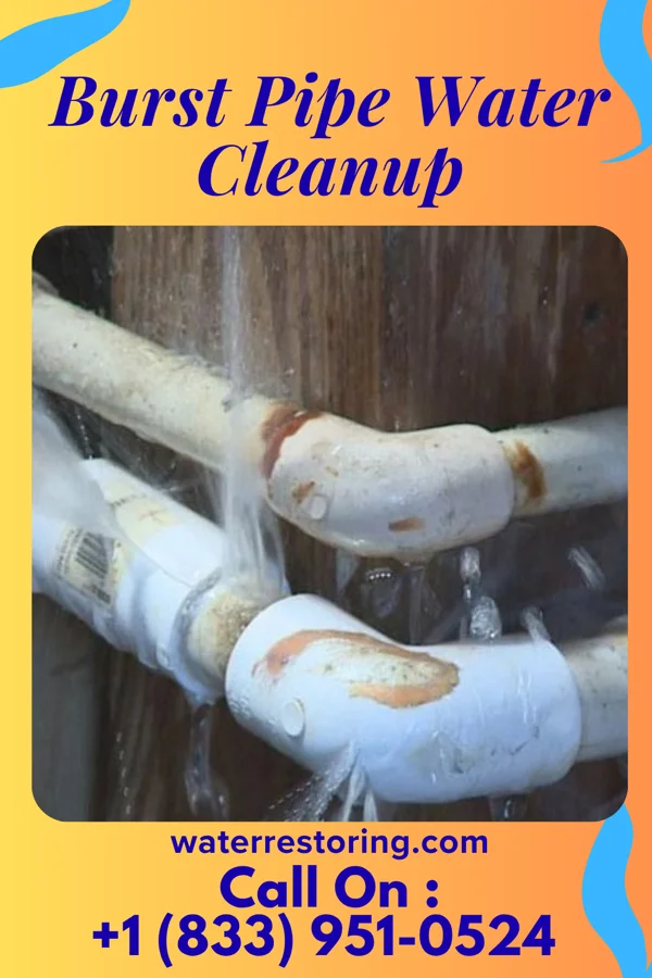 Burst Pipe Water Cleanup in San Pablo, CA